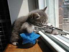 Chat sniper